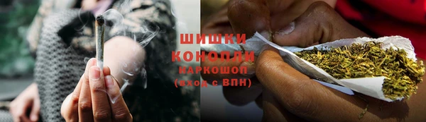 стаф Новодвинск
