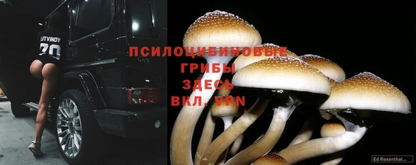 соль курить ск Новозыбков