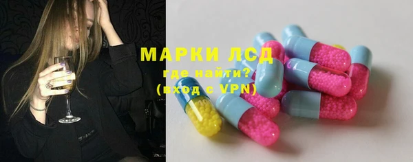стаф Новокубанск
