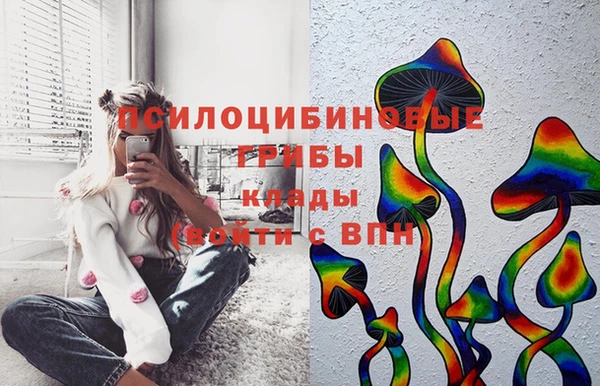 соль курить ск Новозыбков