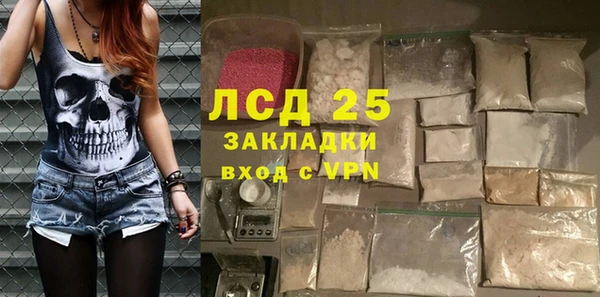 стаф Новокубанск