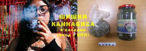 стаф Новодвинск