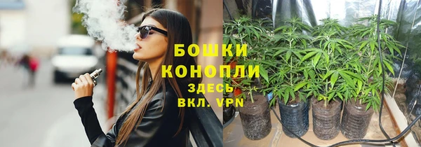 стаф Новокубанск