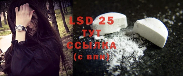 стаф Новодвинск