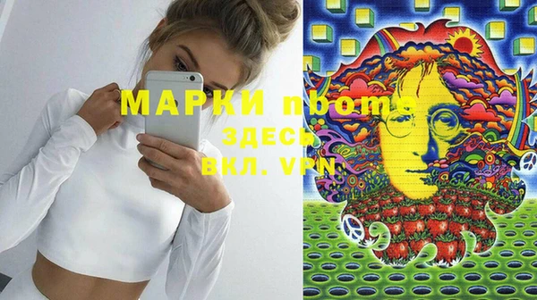 стаф Новодвинск