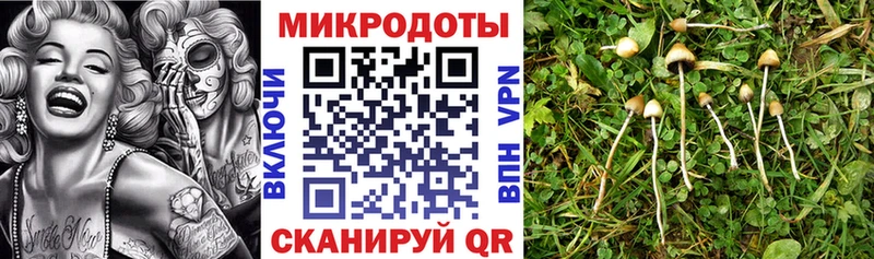 Псилоцибиновые грибы Psilocybe  Остров 
